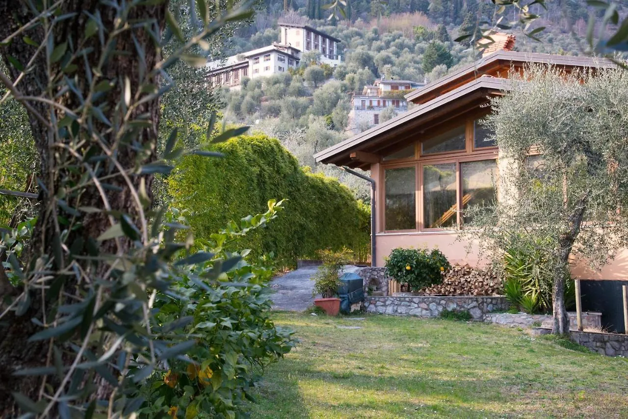 Guesthouse 